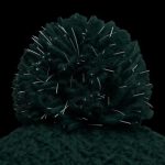 Glissade Ponytail Beanie